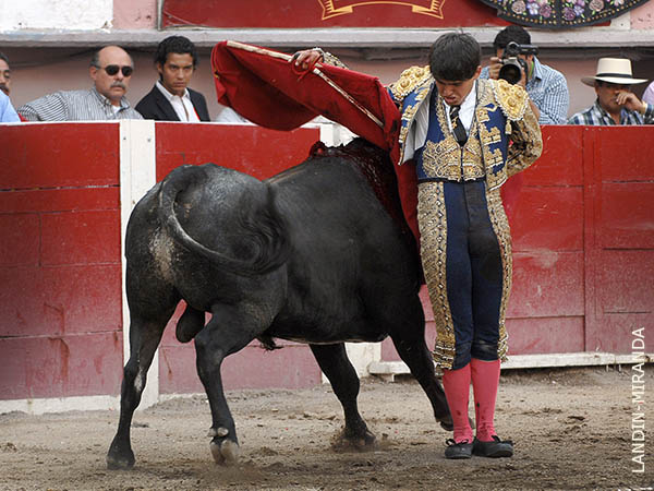 Ajustadas bernadinas