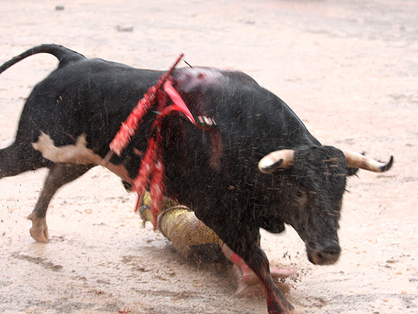 Corri� hacia los toriles