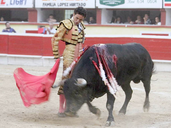 Se pidi� con fuerza la oreja