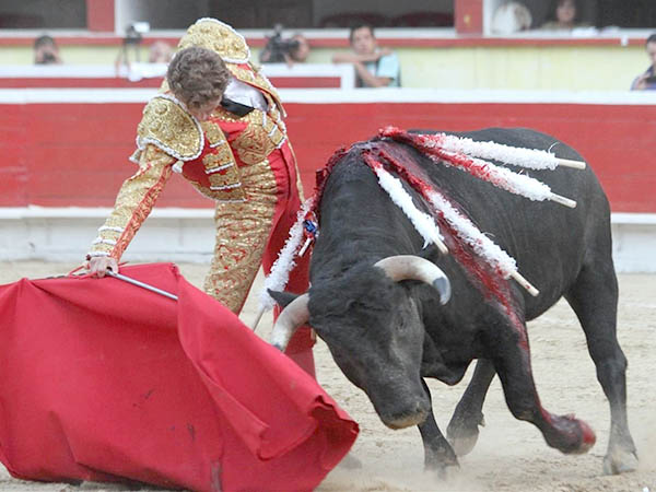 El toro no termino por romper