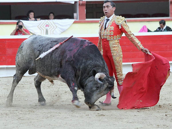 Se le dieron ochenta muletazos
