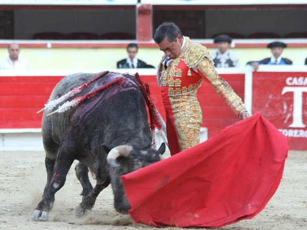 Calidad por ambos pitones