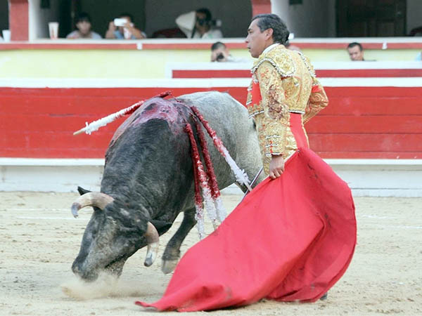 Siempre entregado y fijo al enga�o