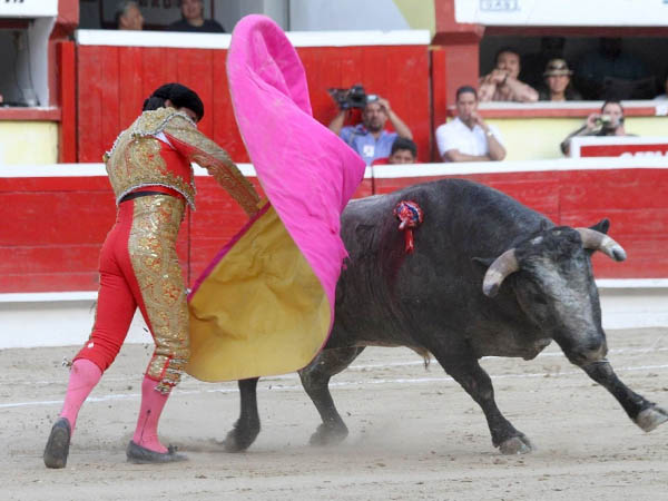 Dio muestras de ser un toro emotivo