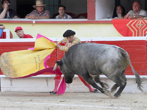Bien cortado y puesto de pitones