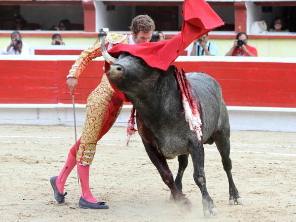 El toro con m�s clase