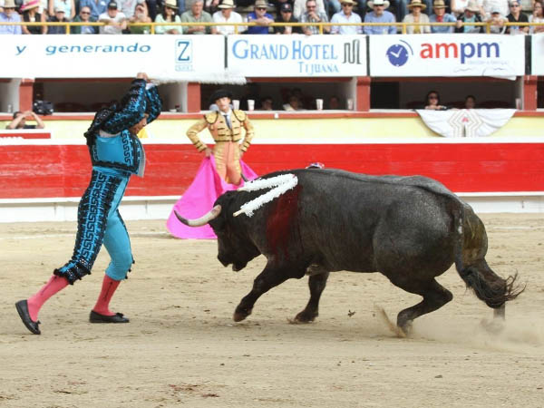 Estampado con sabor mexicano