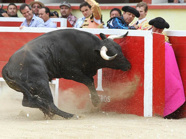 Arranca la temporada en Tijuana