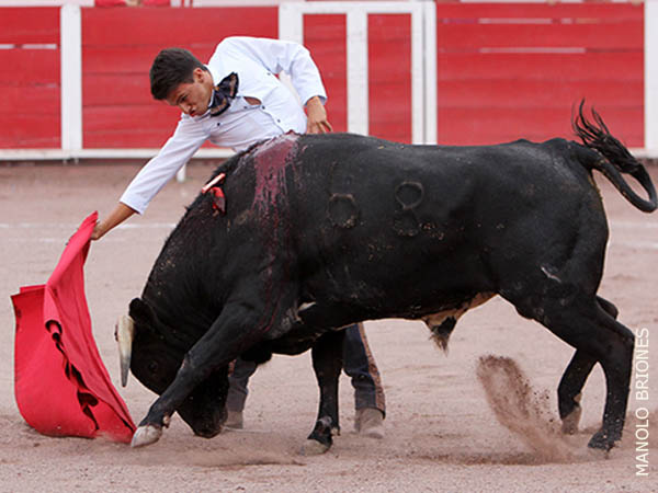 Segunda fecha, novillos m�s hechos