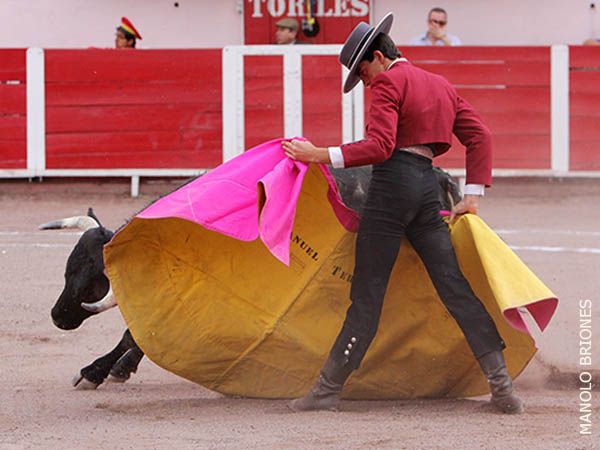 Plantado en la arena