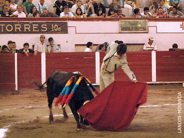 Naturales malage�os