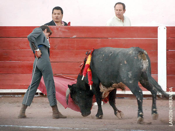 Naturales al hilo de las tablas