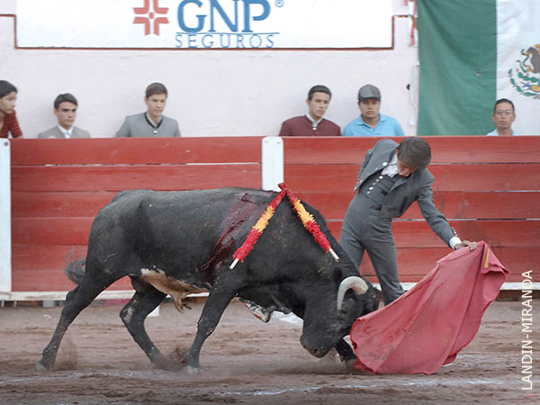 Mostr� buen pit�n izquierdo