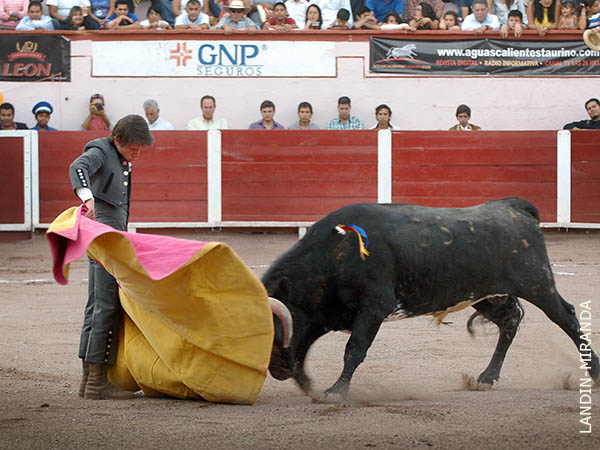 Ver�nicas de Eduardo Romero