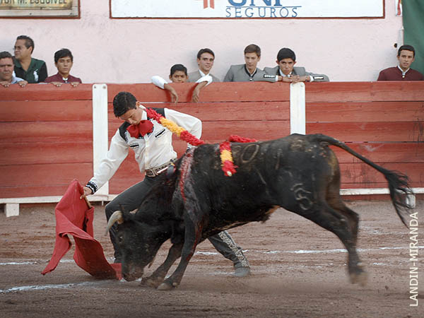 Doblones en el inicio de muleta