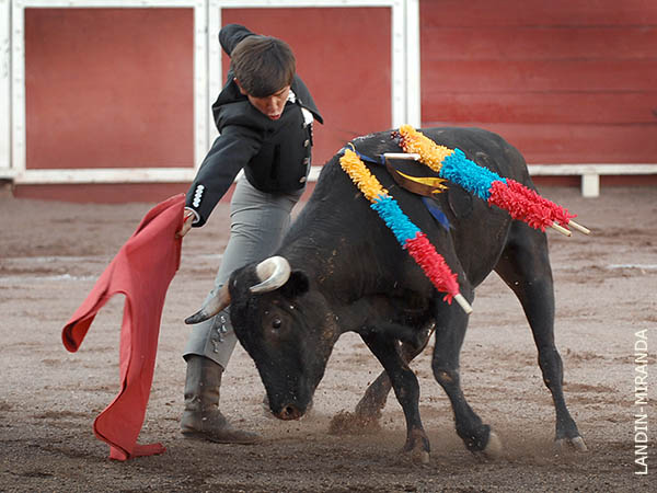 Muletazos largos y sentidos