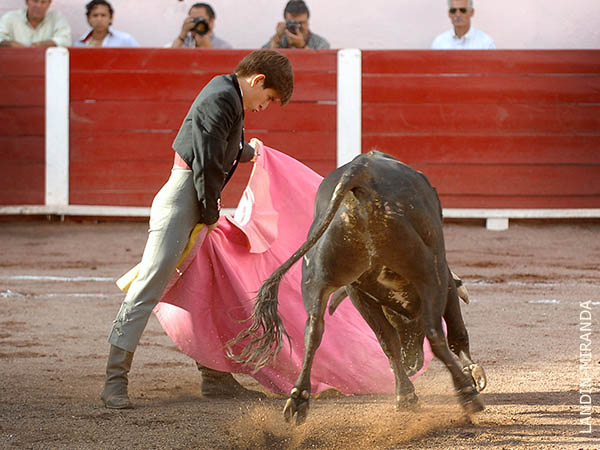 Lleg� desde El Ecuador