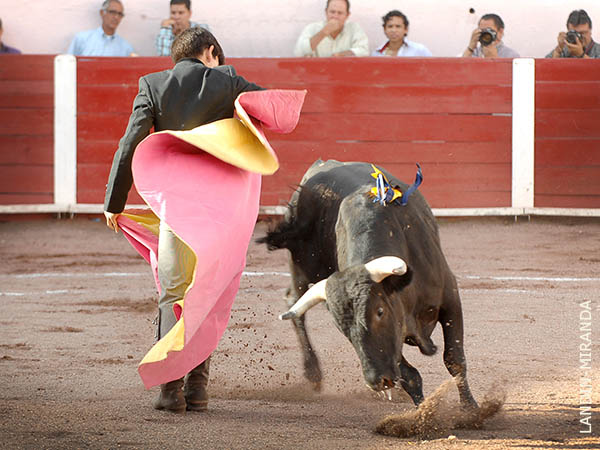 Lances de Julio Ricaurte