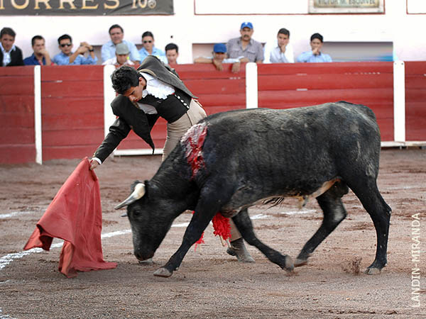 Lucido con la muleta