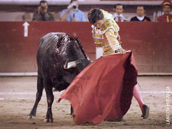 Lentos naturales fundamentales