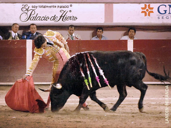 Por derecho cal� en el tendidido