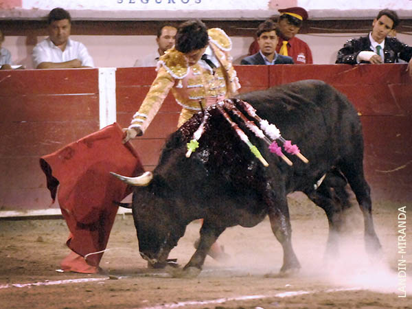 Ese toreo que posee en sus canillas