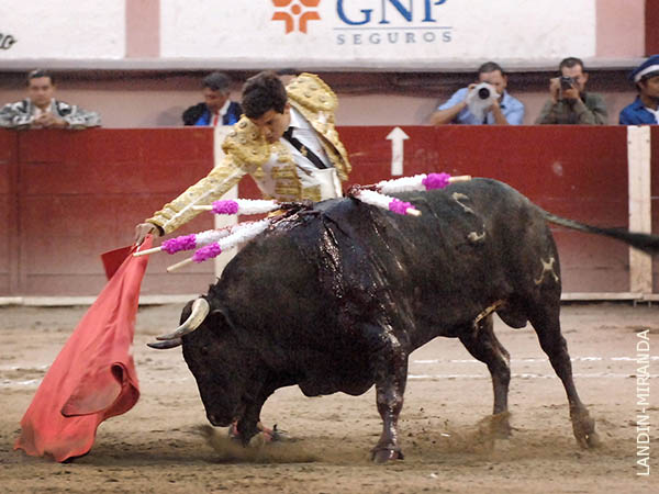 Entre la voluntad y las condiciones