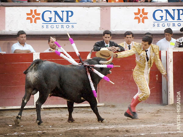 Enormes facultades f�sicas