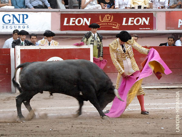 El Chihuahua con su segundo