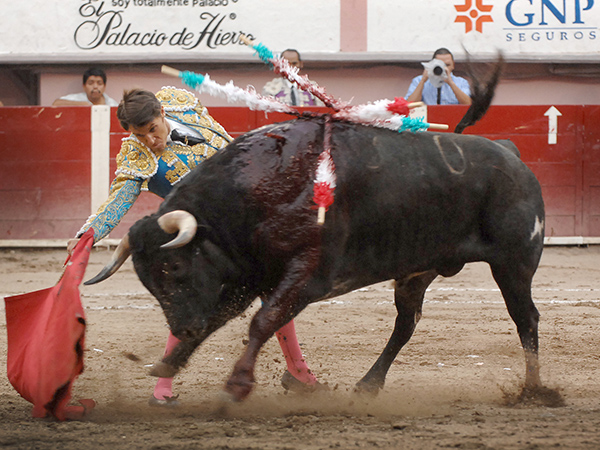 En los medios e inici� su faena