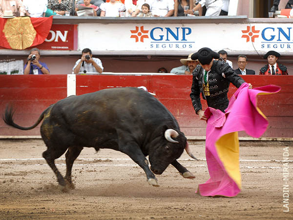 Oliver saluda a su primero