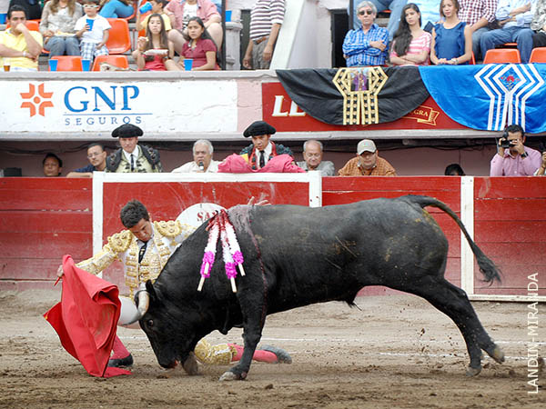 Se da�� su ejemplar en un burladero