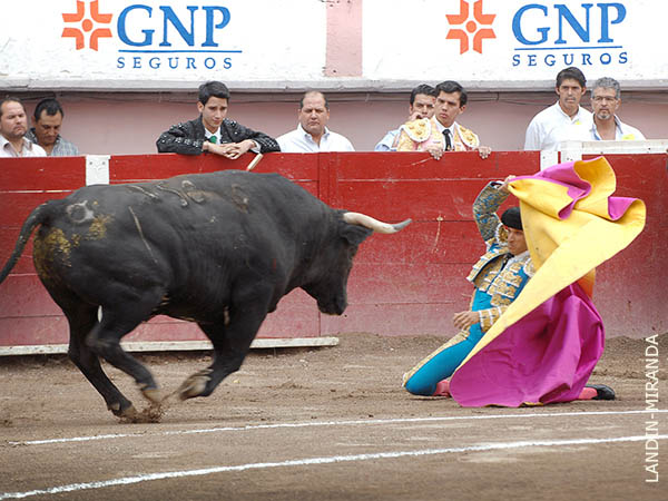 Vibrante inicio del festejo