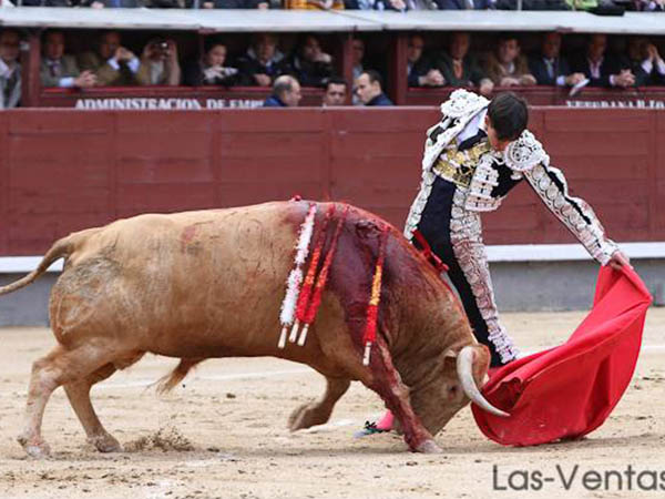 Natural al toro de la confirmaci�n