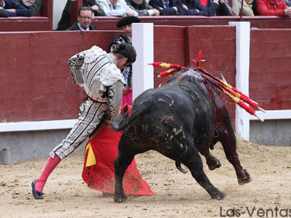 Faena de� �unos ochos muletazos!