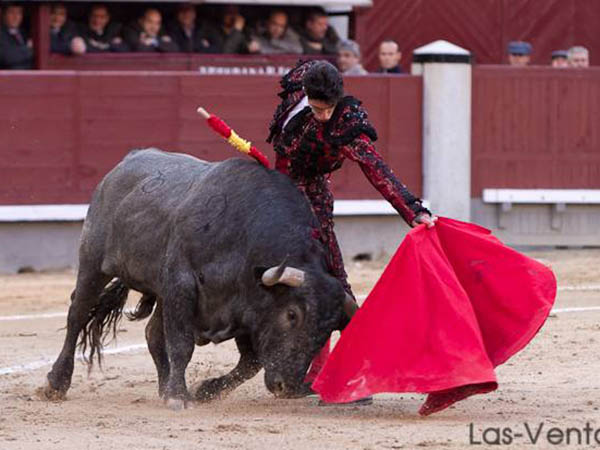 Valor al torear al natural intenso