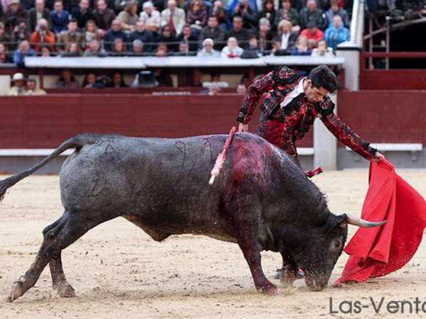 Consigui� robarle algunos muletazos