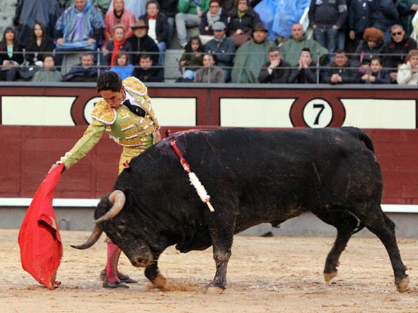 La faena fue intensa y sentida