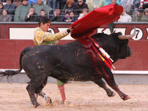 Fue breve, por necesidad