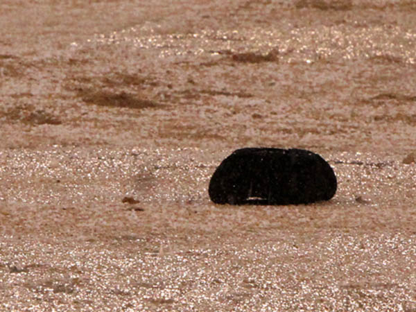 Furioso golpeteo del granizo