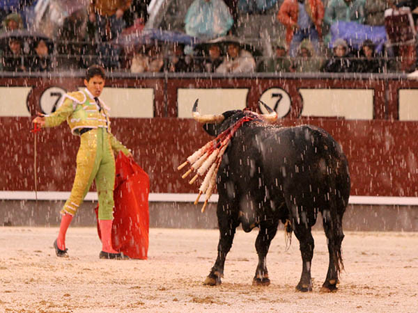 Silveti no hizo ning�n aspaviento