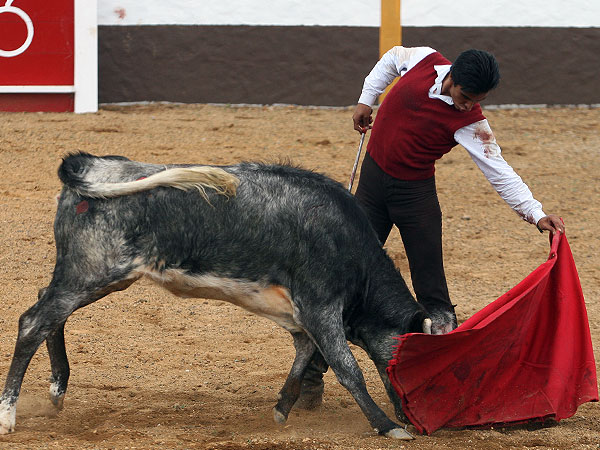 Embebida en los vuelos