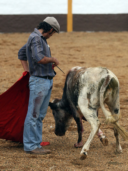 Desd�n del poblano