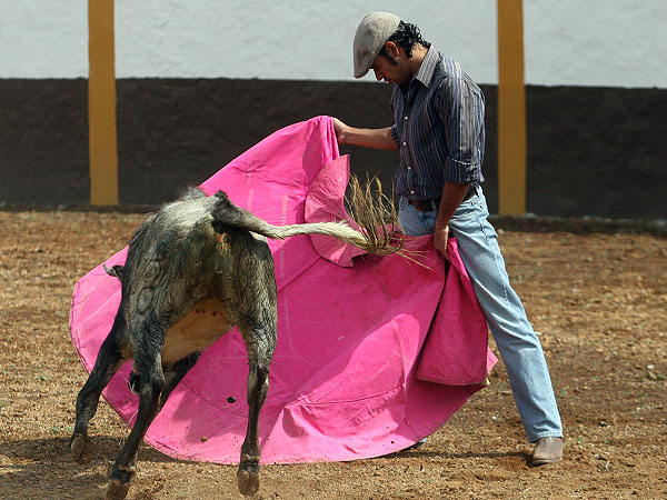 Una ver�nica con amplitud