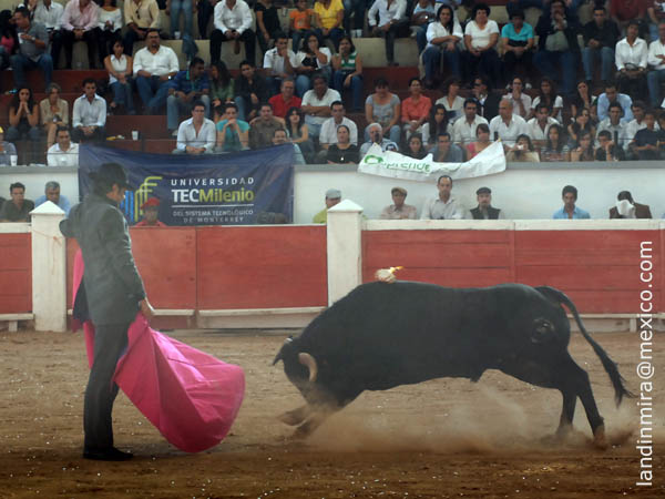 Ver�nicas de Ferm�n Rivera