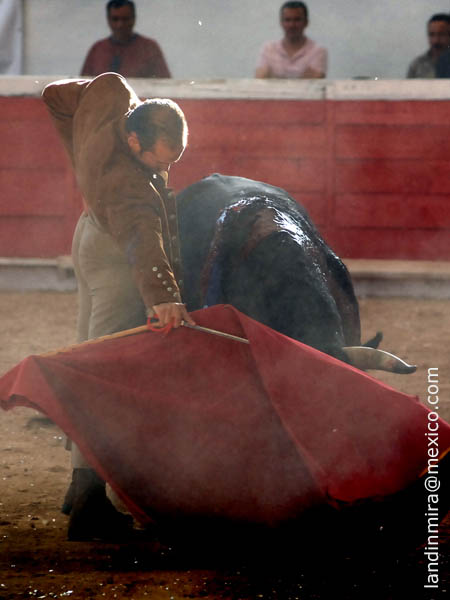 Lentitud y sentimiento