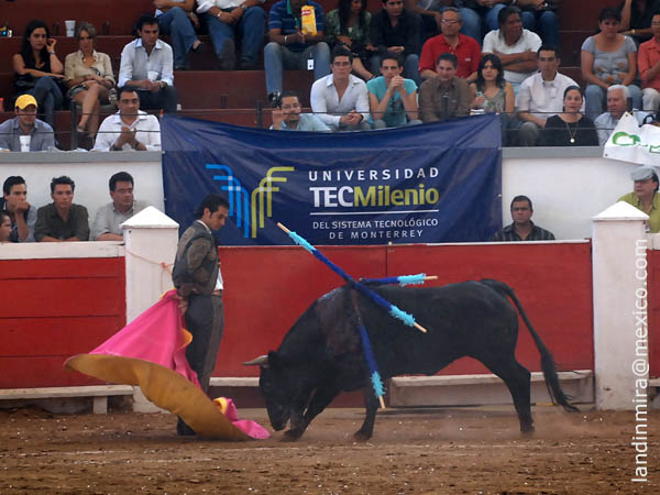 Lance de Alfredo a hurtadillas