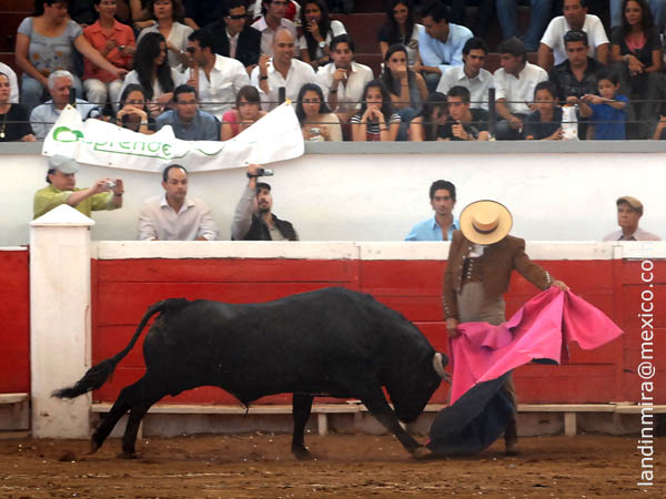 El saludo de Mingo S�nchez