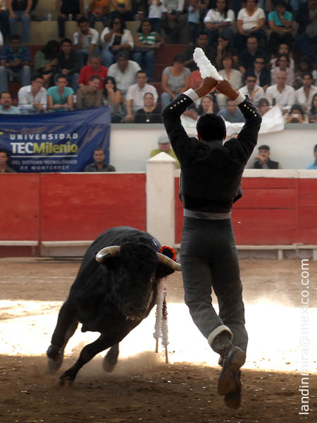 Jaleado en banderillas