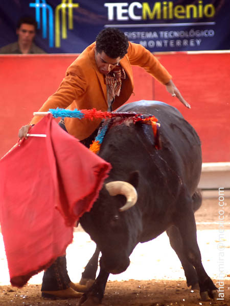 Por la hebilla plateada